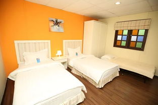 早鳥優惠 女神都為之瘋狂的七大海島,下單立減還送神秘好禮